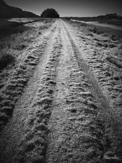 Iphone Photography from Chester Ptasinski