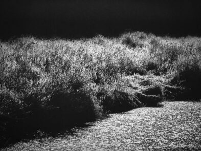 Iphone Photography from Chester Ptasinski