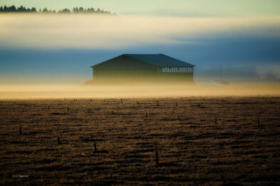 Landscape Photography from Chester Ptasinski