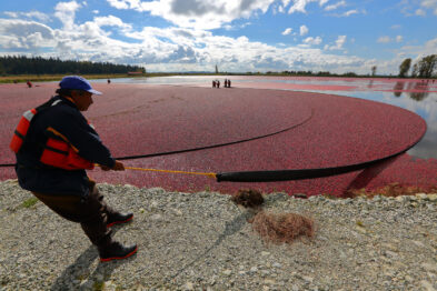 Landscape Photography from Chester Ptasinski