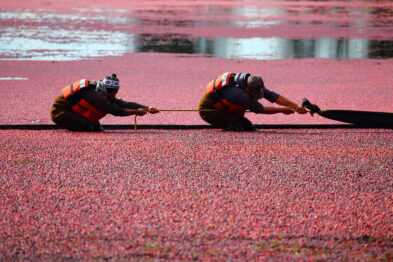 Landscape Photography from Chester Ptasinski